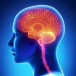 İnsanların Beş Değil, 33 Duyusu Olabilir